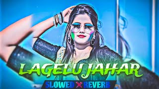 Lagelu Jahar Lofi Song  bhojpuri lofi song  khesarilalyadav [upl. by Aniez]