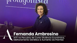 IATF na Pecuária de Corte Eficiência Econômica Melhoramento Genético e Aumento da Prenhez [upl. by Neit]