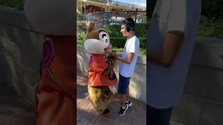 Playing PeakABoo with Chip shorts disneyland autism [upl. by Hanikahs]