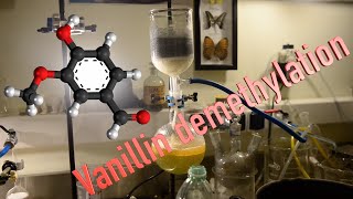 Protocatechuic aldehyde preparation by Vanillin demethylation [upl. by Guthry]