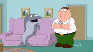 Tricia Takanawa and Dolphin  Family Guy [upl. by Ahswat]