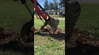 kubota kx0404 vs shrub stump landscape refreshing [upl. by Wolfgram127]