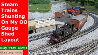 Steam Trains Shunting On My OO Gauge Shed Layout  Hornby Terrier  Part 8 [upl. by Srini]