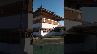 Chimi Lhakhang in Bhutan [upl. by Lettie]