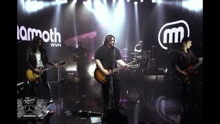 Mammoth WVH Performs Eddie Van Halen Tribute Distance on Kimmel [upl. by Tavey]