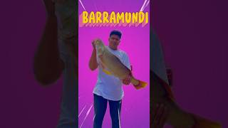 ചീനവലയിൽ കിട്ടിയ 9 കിലോ ഉള്ള കാളാഞ്ചി😱 shortsvideo barramundi fishing fishmarket shortsviral [upl. by Cogswell60]