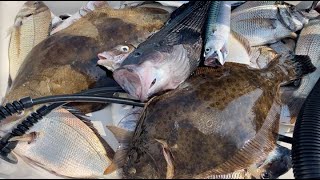 Summer Flounder Fluke fishing Montauk NY 715 2024 [upl. by Aiyotal]