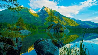 Beautiful Lake in Nature No Sound  4K UHD [upl. by Raffaj607]