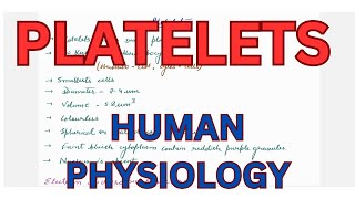 Platelets Thrombocytes  Blood cellsTelegram link httpstmedrshikhasaxenahumanphysio [upl. by Hu]