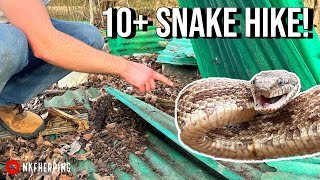 Catching Snakes by the River and Flipping Junk Early Spring Herping in Georgia [upl. by Naleag]