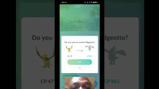 ✨Shiny Pidgey evolution pokemonpokemongoshinyevolutiongamingtrendingviralvideoshortsfeed [upl. by Bonina]