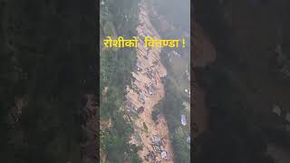 रोशिको वितण्डा  ROSHI KHOLA flooD flood update live [upl. by Cowen]