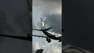 Oman Air A330200 A40DA Landing at Colombo swiss001 a330 Butter omanair planespotting [upl. by Zorana]