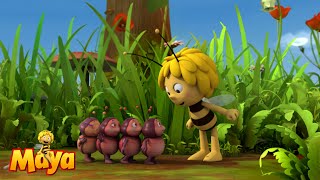 Arent they cute  Maya the Bee🐝🍯🐝 [upl. by Morly]