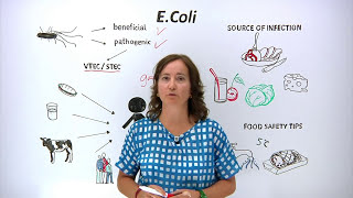 What is EColi What can you do to protect yourself and others [upl. by Innos]