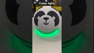 Solid green light on Echo dot 4th Generation  SOLVED [upl. by Notsnarc251]