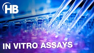 In Vitro Assay Research Solutions by Harvard Bioscience  Explainer Video [upl. by Allyn291]