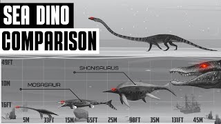 Sea Dinosaurs Size Comparison  Part 1 [upl. by Ragucci652]