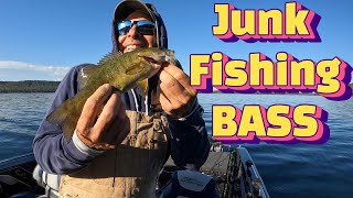 I went JUNK Fishing The BEST Catch for Cold Water BASS [upl. by Lennox120]