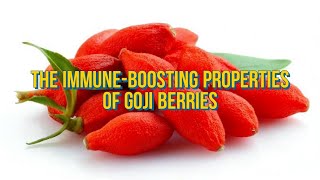 Goji Berries A Superfood for Immune Strength and Vitality [upl. by Shifra]