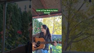 Cover of Tree Birds by DylanGossettMusic acousticcover cover explore nature countrymusic [upl. by Anaela145]