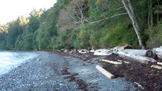 GABRIOLA ISLAND LIVING [upl. by Socrates]