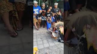 barong kecapekan bali barongan viralvideo barongbali [upl. by Isak843]