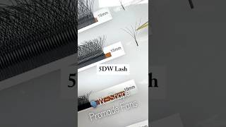 WShape Promade Fans lashtraining lashextensions volumelashes lashtech lashmaker [upl. by Manoop367]