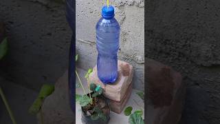 how to make homemade drip irrigation system with bottles irrigationmethod dripirrigationsystem [upl. by Ybbob]