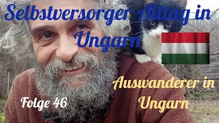 Selbstversorger Alltag in Ungarn 46 Auswanderer in Ungarn [upl. by Harp672]