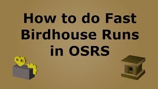 How to do Fast Birdhouse Runs in OSRS [upl. by Altaf]