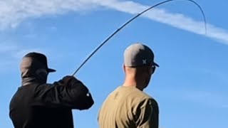 STRIKE ZONES 101 Bass Fishing [upl. by Cullen]