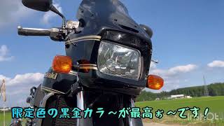 ZRX1200Rエクステリアampサウンド♪川崎川崎重工カワサキKawasakizrx1200rマフラーサウンド二輪バイクカスタム二輪車 [upl. by Danaher]