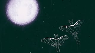 Yours Dreamily The Moth Lyric Video [upl. by Llenwahs116]