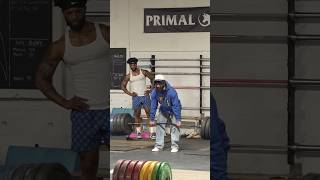 ANATOLY Use FAKE WEIGHTS in GYM PRANK anatoly fitness gym [upl. by Jerald472]