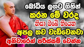 බෝධිය ලගට ගිහින් කරන මේ වැරැද්ද නිසා ඔබේ අපල තවත් වැඩිවෙනවා  Ven Koralayagama Saranathissa Thero [upl. by Swerdna]