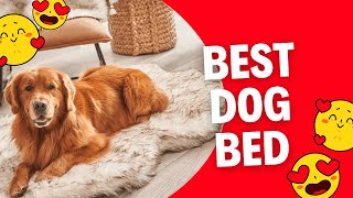 Best dog bed  Orthopedic Dog Bed [upl. by Asilehs]