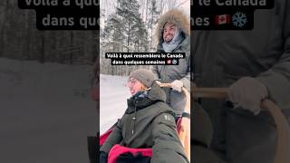 Voilà à quoi ressemble lhiver au Canada hivercanadien hiverquebec [upl. by Elleinet]