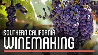 Winemaking in Southern California  How to Brew Everything [upl. by Ggerc]