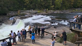 Walking Tour of Ohiopyle Falls and The Great Allegheny Passage Trail FallAutumn [upl. by Ahsimed187]