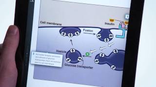 Lippincotts Illustrated Reviews Biochemistry  Harvey amp Ferrier [upl. by Eadas]