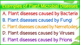 Examples of Plant Microbial DiseasesDiseases caused by BacteriaFungiNematodesVirusesPrions [upl. by Aitnwahs926]