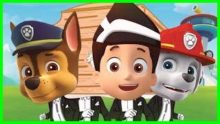 Paw Patrol  AstronomiaCoffin Dance COVER SEASON 2 [upl. by Undry89]