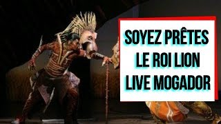 Soyez Prêtes  Le Roi Lion  Mogador  LIVE  Olivier Breitman [upl. by Gusta]