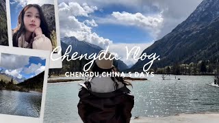 Chengdu VLOG  เที่ยวเฉิงตู 5 วัน Bipenggouเขาสี่ดรุณีเฉิงตู ม้วนเดียวจบ [upl. by Goldarina268]