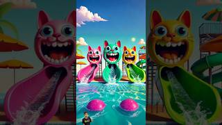 ❤️ Evolution of Bull Cat  Three Cat Water Slide 🥰 mithi miaw ✅ catcuteloveshorts [upl. by Aicener]