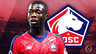 NICOLAS PEPE  Amazing Speed Skills Goals amp Assists  20182019 HD [upl. by Rossing]