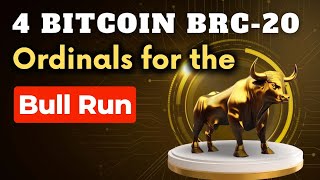 Bitcoin Brc20 Ordinals are making millionaires already  Don’t ignore [upl. by Erhart]