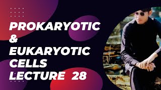 Prokaryotic amp Eukaryotic Cells First Year Biology lecture 28 Unit One Cell Structure And Function [upl. by Ahsiekrats]