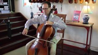 Demonstration of Hidersine Vivente Cello  Simply For Strings [upl. by Rossen]